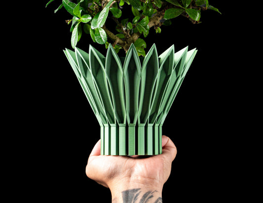 Lotus Yapraklı Modern Saksı