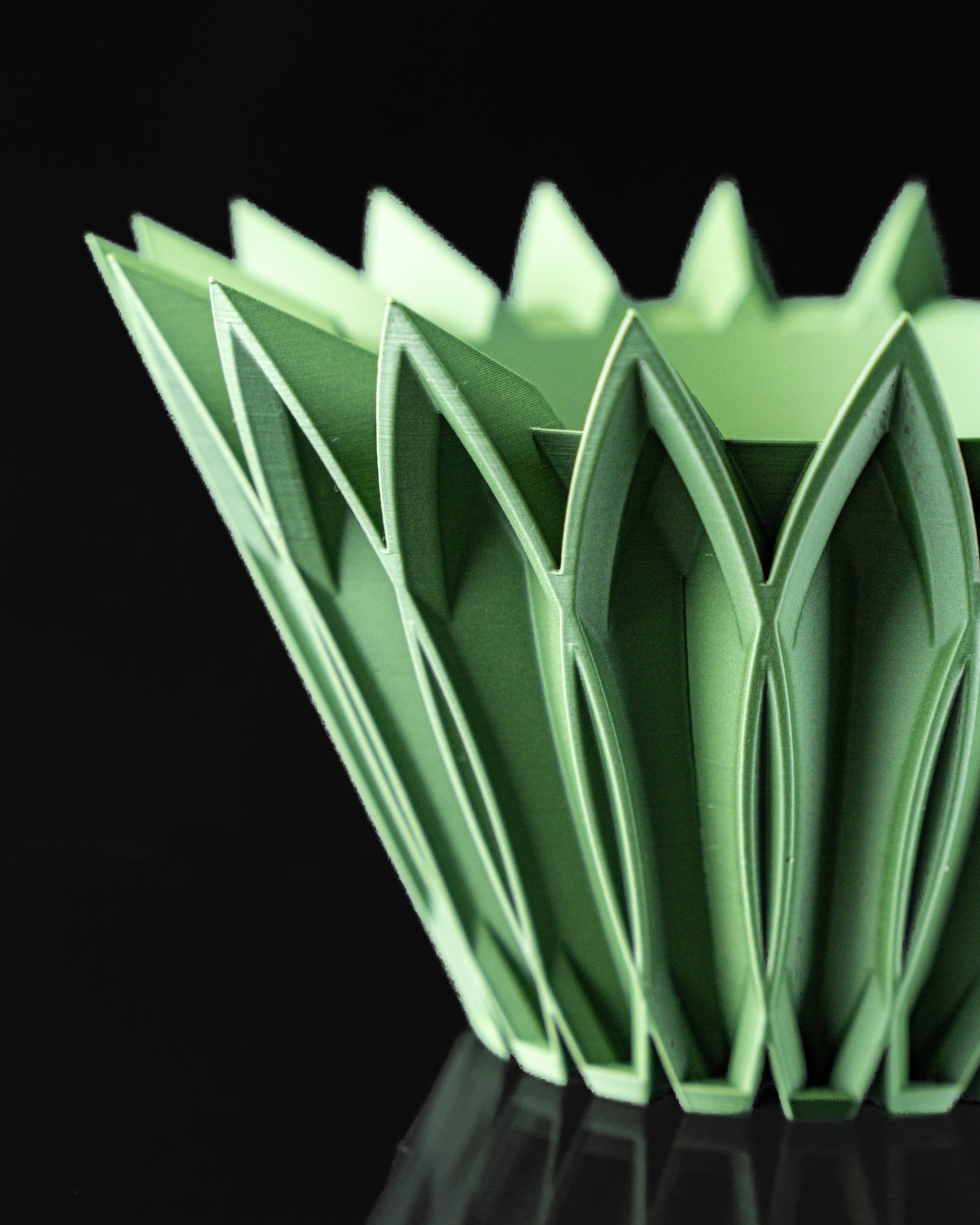 Lotus Yapraklı Modern Saksı