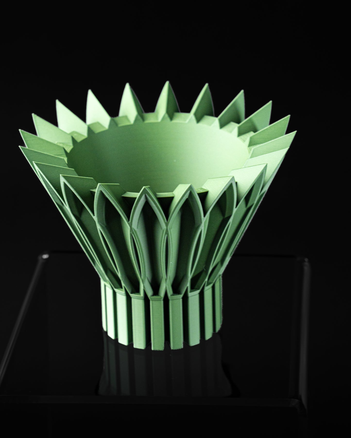 Lotus Yapraklı Modern Saksı